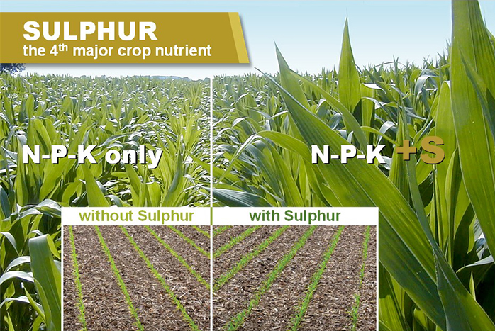 4th major crop nutrient